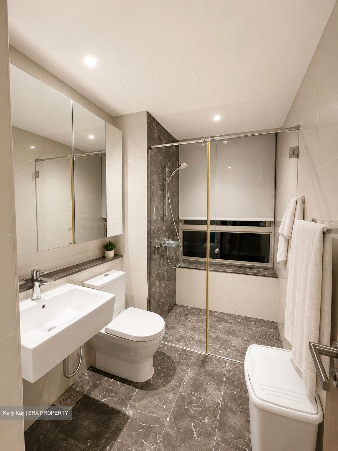 Flamingo Valley (D15), Condominium #609658671